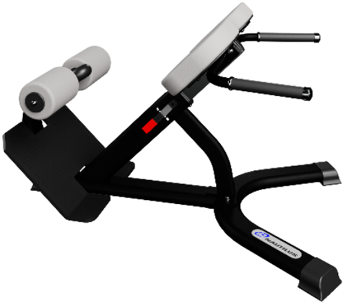 Nautilus Instinct 45 Degree Back Extension 9NN-B7502-60ARS (New) Image 4
