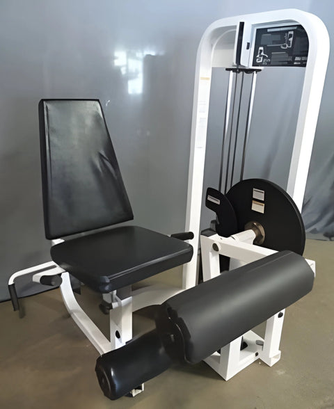 Paramount Leg Extension/Horizontal Curl SF-1900 (Remanufactured)
