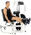 Paramount Leg Extension/Horizontal Curl SF-1900 (Remanufactured)