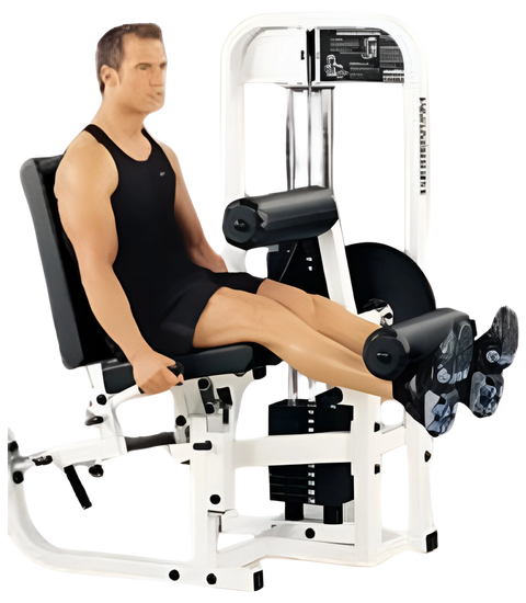 Paramount Leg Extension/Horizontal Curl SF-1900 (Remanufactured)