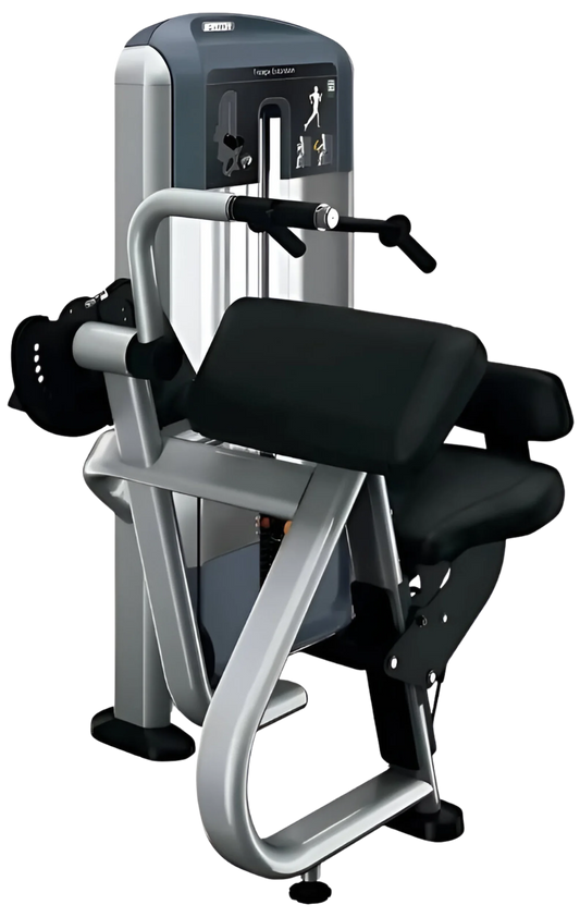 Precor DSL0208 Discovery Series Selectorized Triceps Extension (Remanufactured)