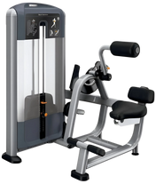 Precor DSL0313 Discovery Series Selectorized Back Extension