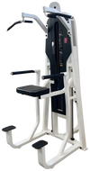 Precor Icarian Chin Dip Assist (Remanufactured) Image