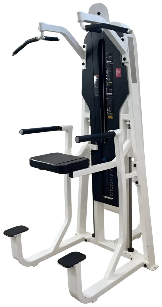 Precor Icarian Chin Dip Assist (Remanufactured)