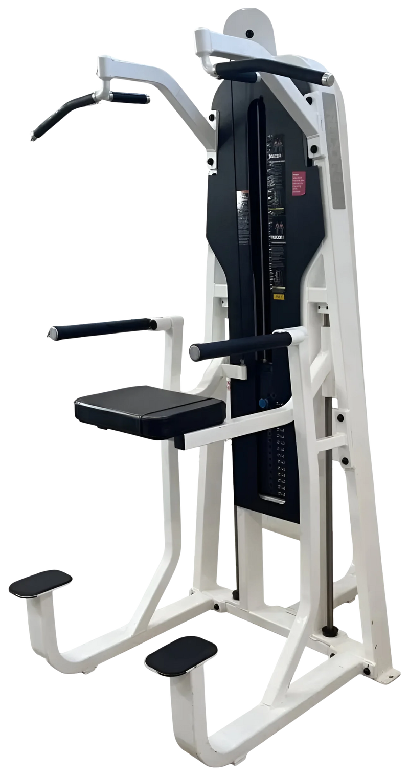 Precor Icarian Chin Dip Assist (Remanufactured) Image