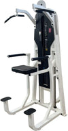 Precor Icarian Chin Dip Assist (Remanufactured)