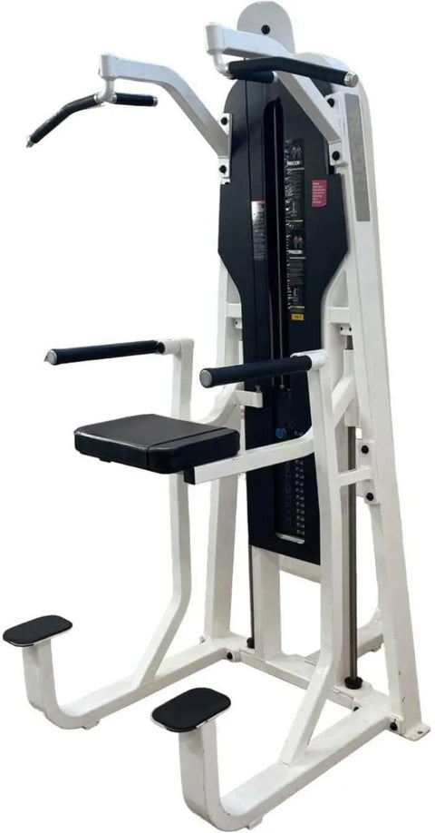 Precor Icarian Chin Dip Assist (Remanufactured)