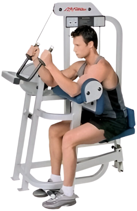Life Fitness Pro / Pro1 Tricep Arm Extension (Remanufactured)