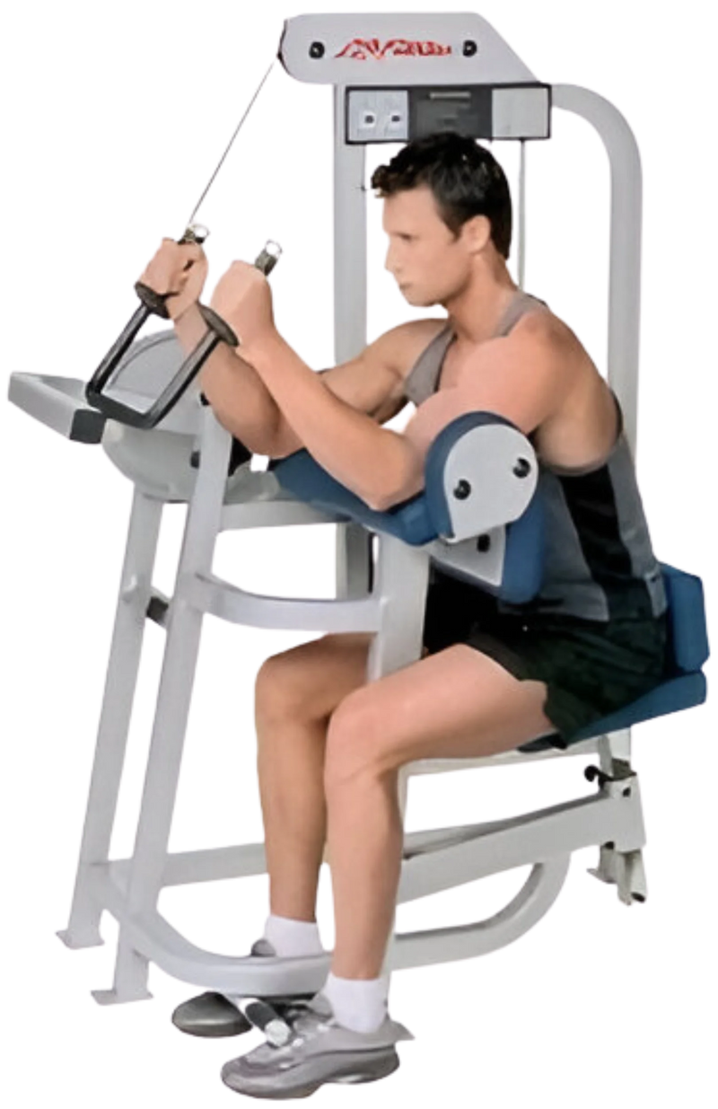 Life Fitness Pro / Pro1 Tricep Arm Extension (Remanufactured)
