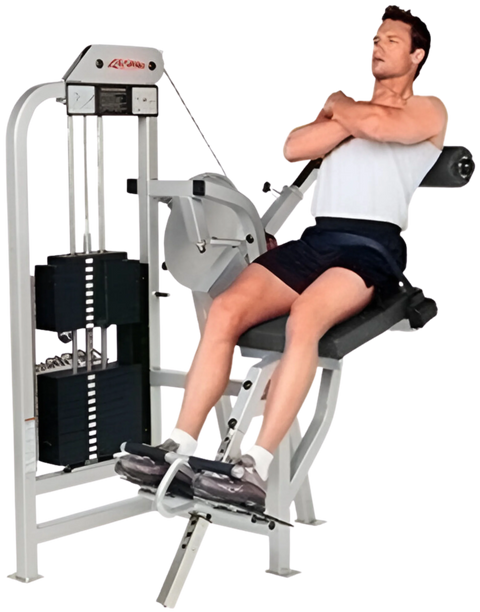 Life Fitness Pro / Pro1 Back Extension (Remanufactured)