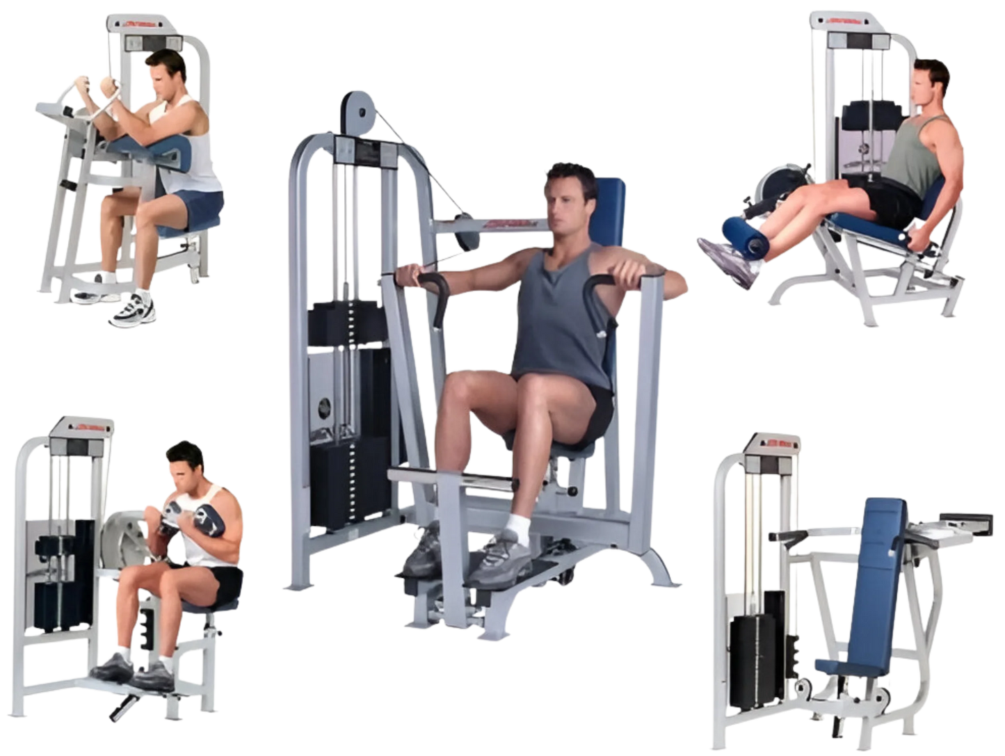 Life Fitness Pro 1 Circuit Machines (Remanufactured) Image