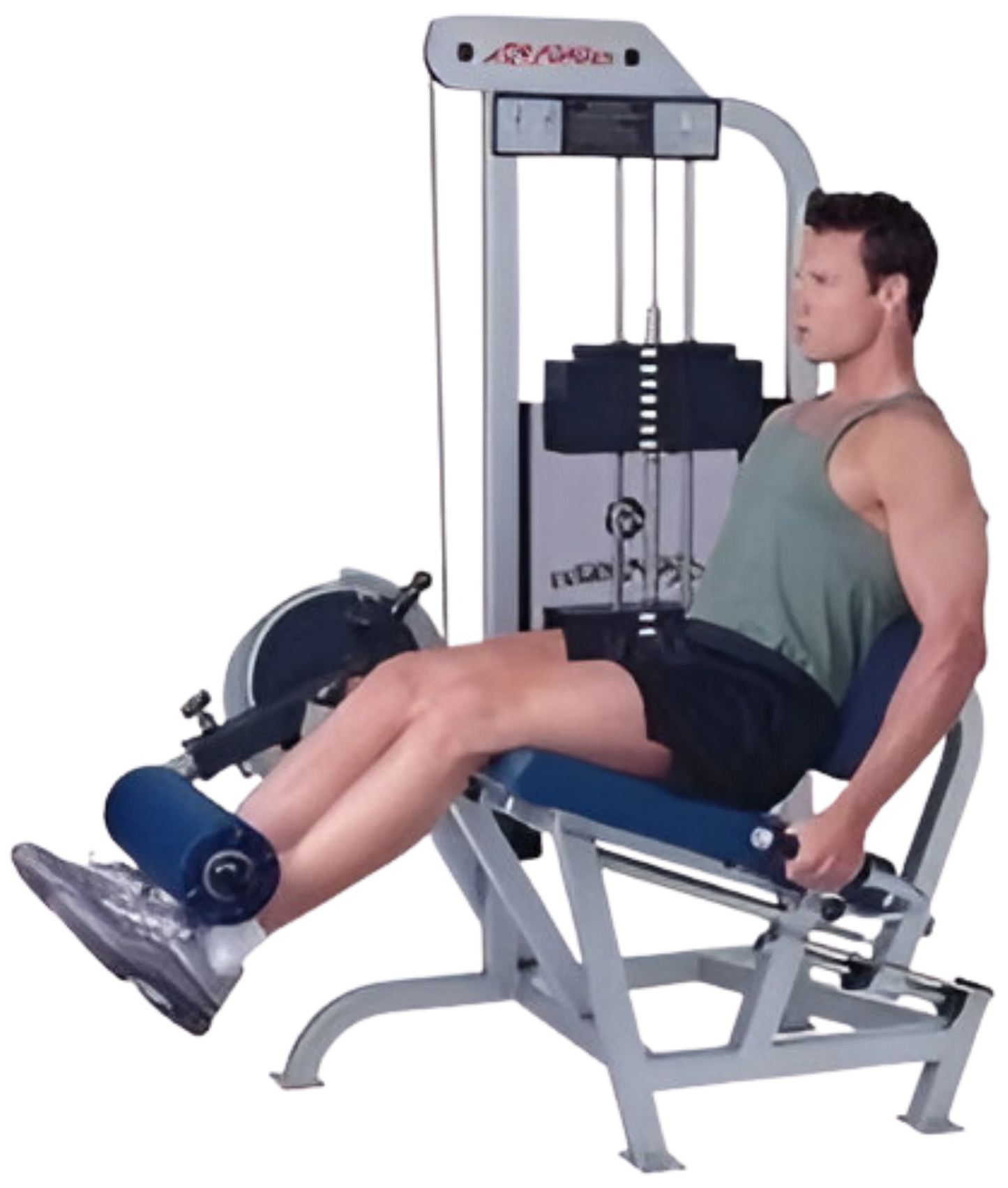 Life Fitness Pro / Pro1 Leg Extension (Remanufactured)