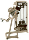 Life Fitness Pro2 SE Arm/Bicep Curl (Remanufactured)