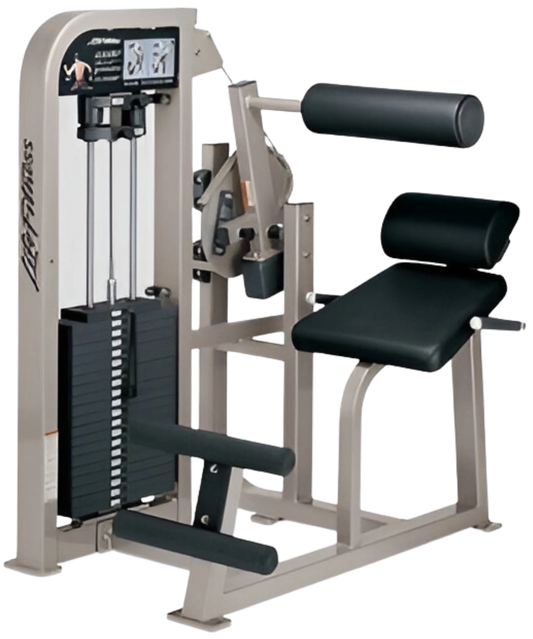 Life Fitness Pro2 SE Back Extension (Remanufactured) Image