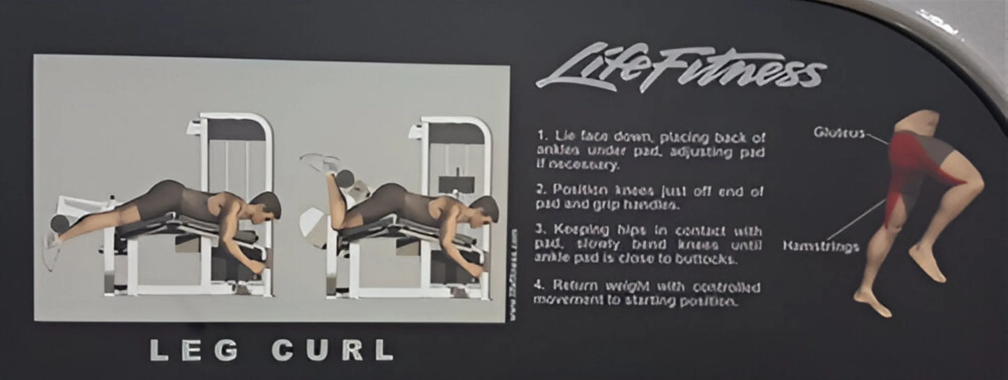 Life Fitness Pro2 Prone Leg Curl (Remanufactured)