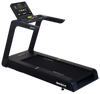 SportsArt T674L Eco-Natural Elite Treadmill (New)