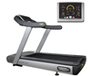 Technogym EXC Run 500 Treadmill LED (Remanufactured)