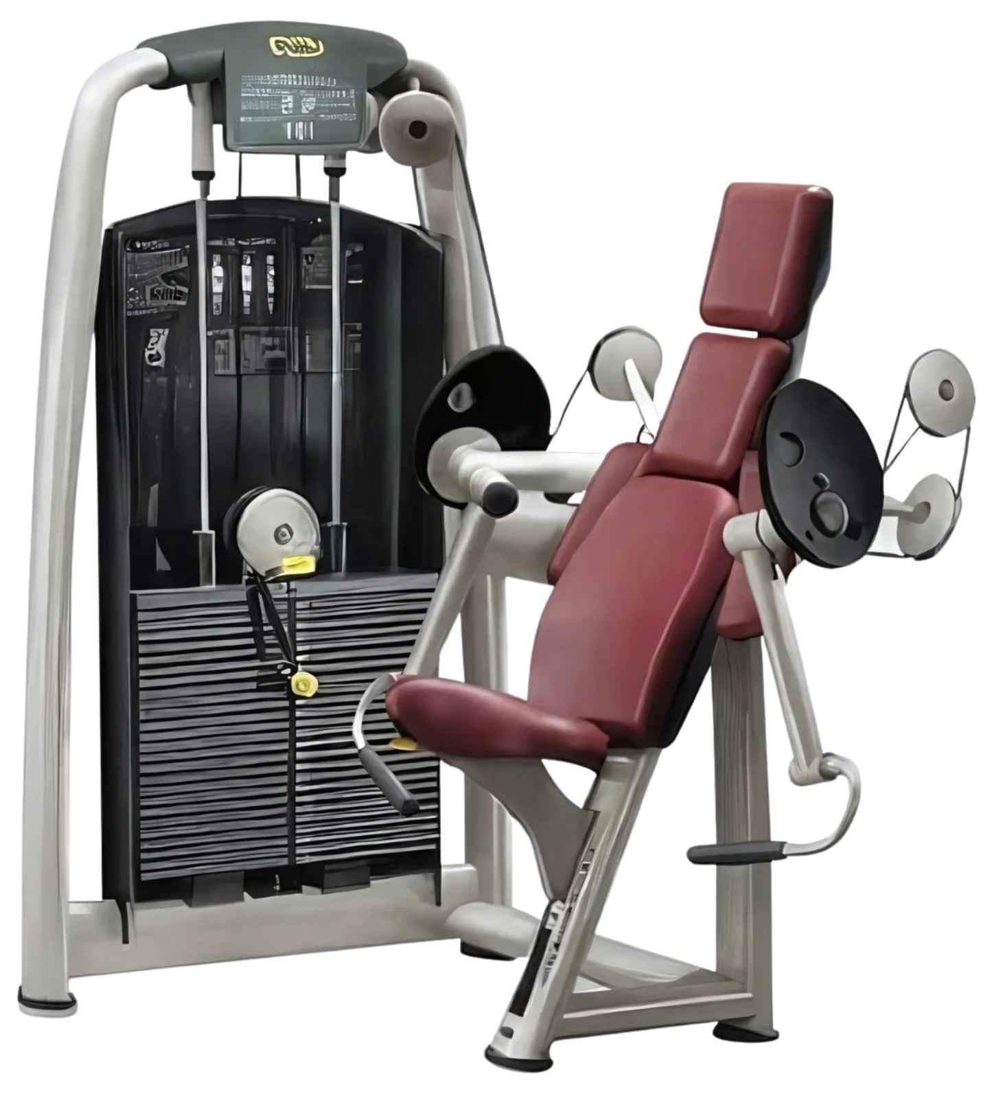 Technogym Selection Arm Curl (Remanufactured)