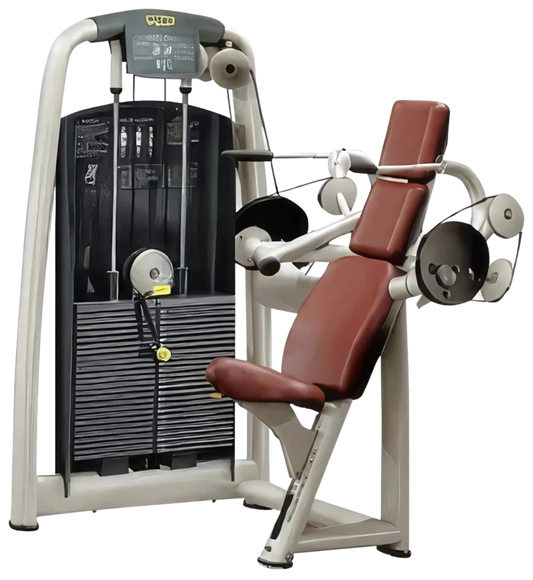 Technogym Selection Arm Tricep Extension (Remanufactured)