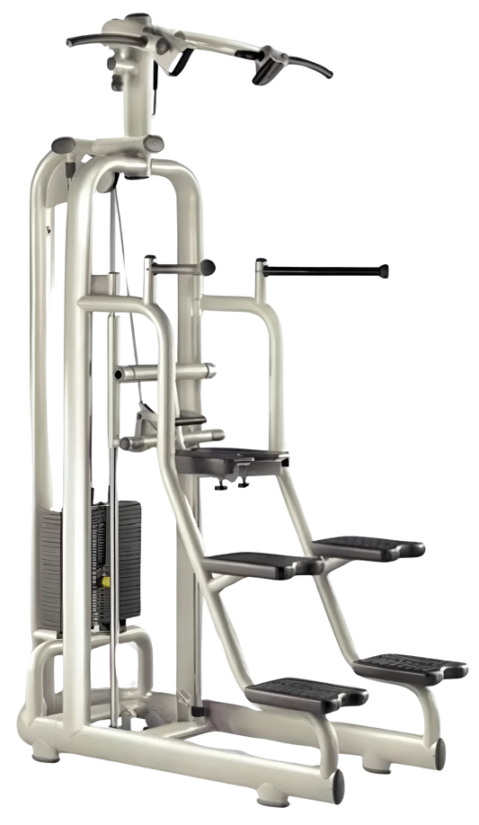 Technogym Selection Chin / Dip Assist (Remanufactured)