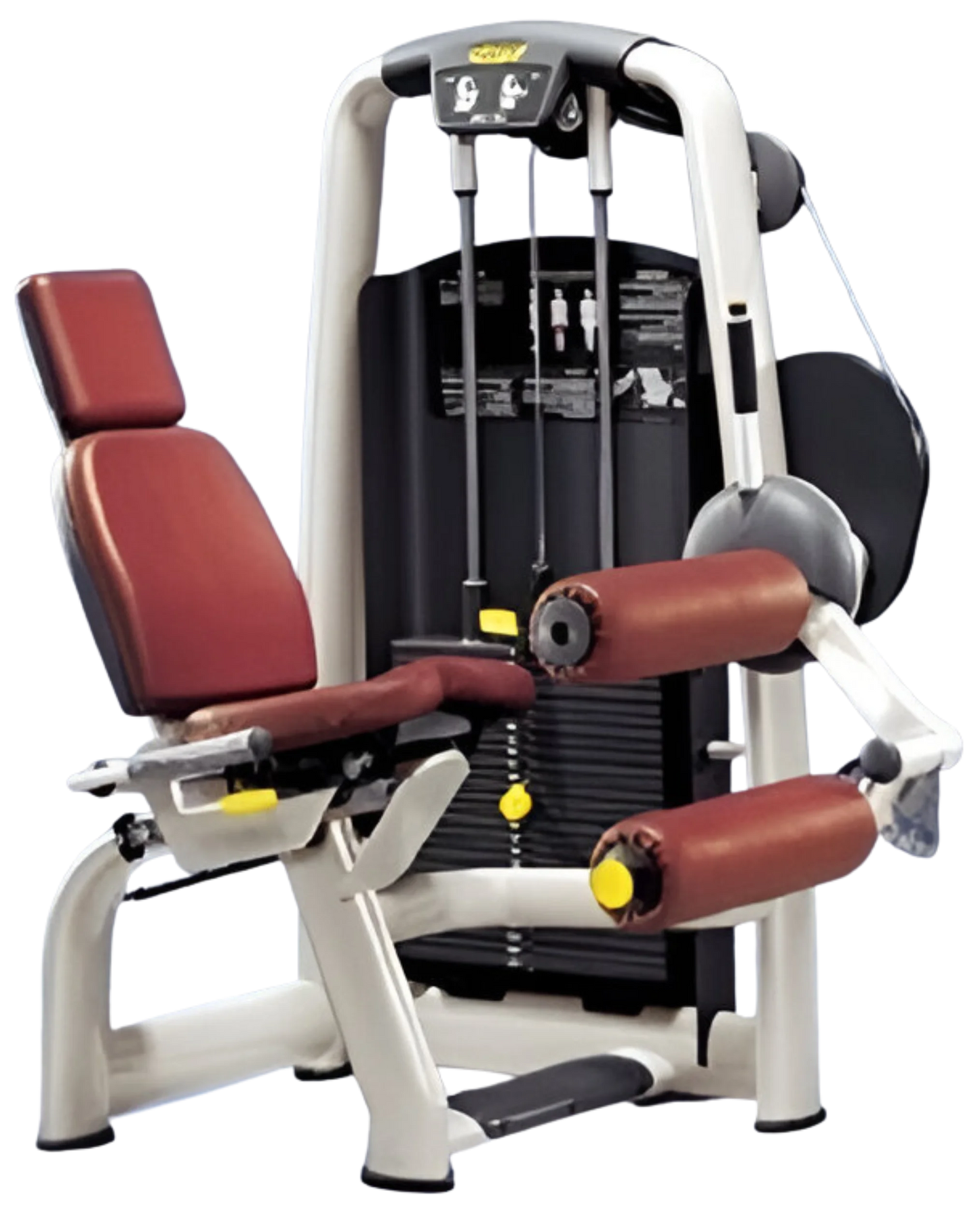 Technogym Selection Seated Leg Curl (Remanufactured) Image