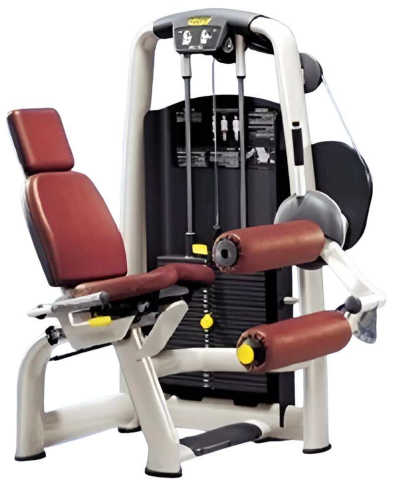 Technogym Selection Seated Leg Curl (Remanufactured) Image