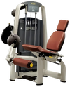 Technogym Selection Leg Extension (Remanufactured)