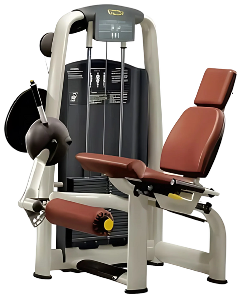 Technogym Selection Leg Extension (Remanufactured)