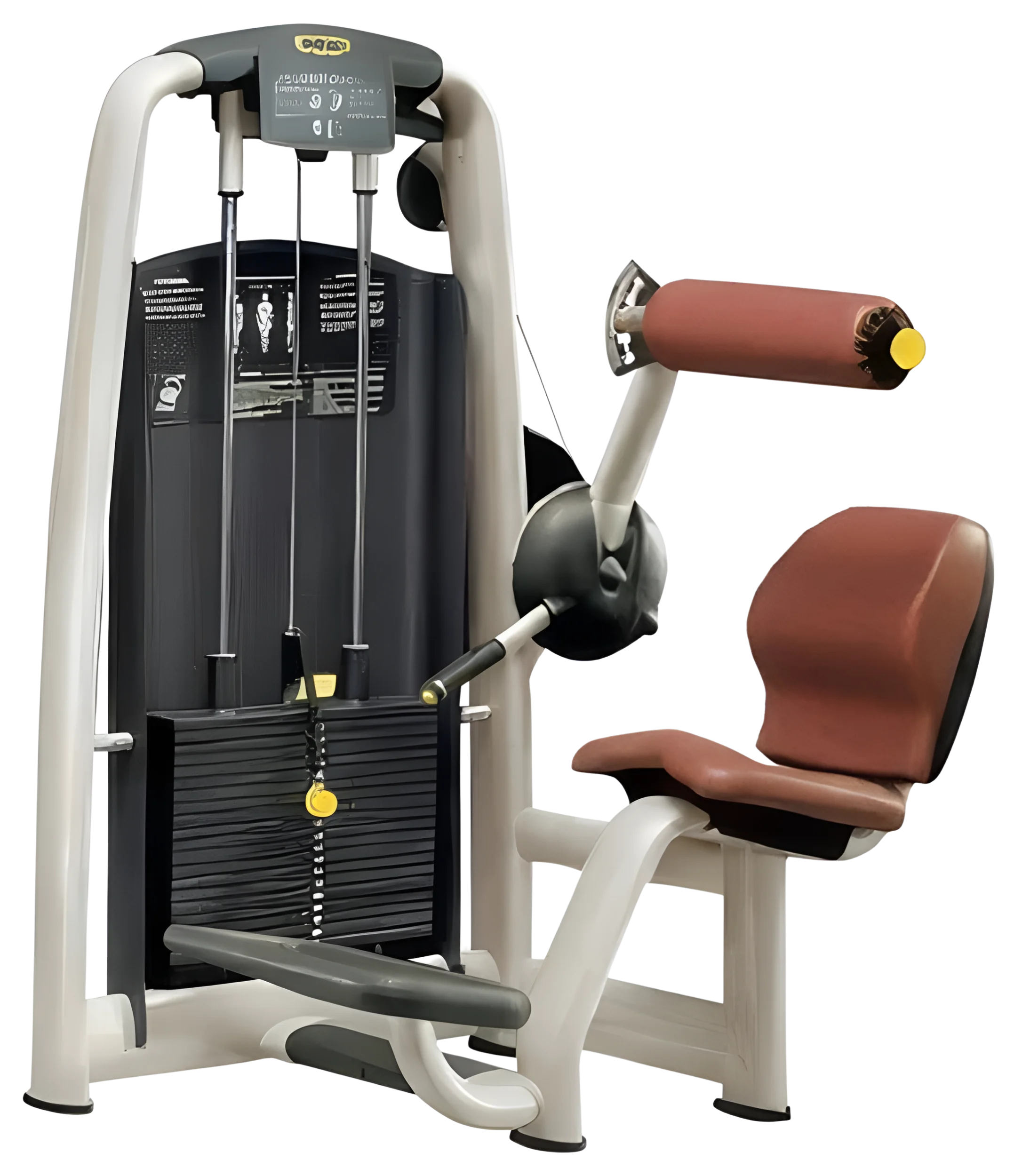 Technogym Selection Lower Back