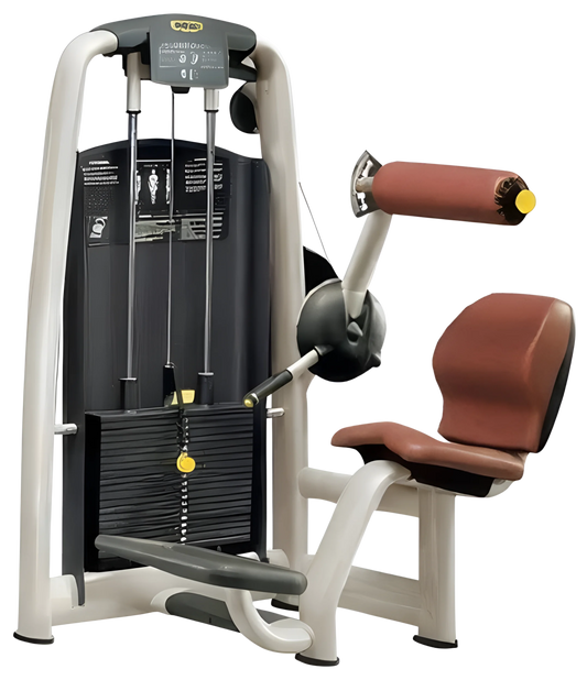 Technogym Selection Lower Back (Remanufactured)