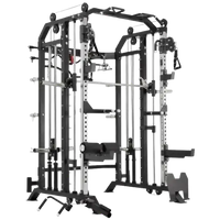 French Fitness FSR20