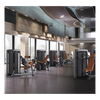 Life Fitness Insignia Series Row (Remanufactured)