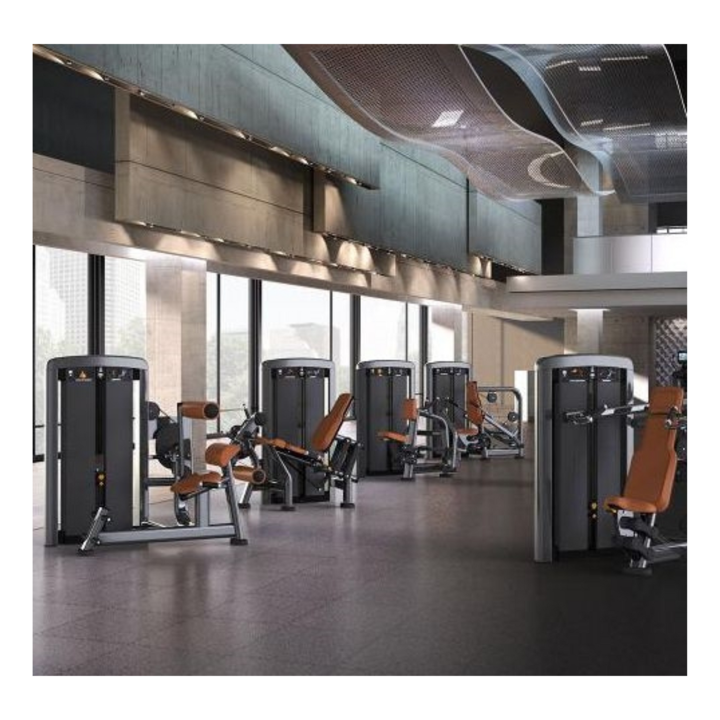 Life Fitness Insignia Series Row (Remanufactured)