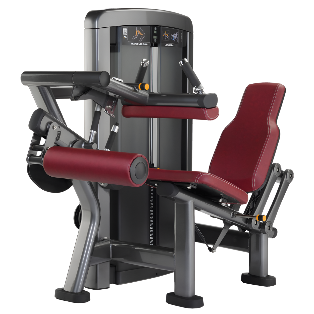 Life Fitness Insignia Series Seated Leg Curl | Fitness Superstore