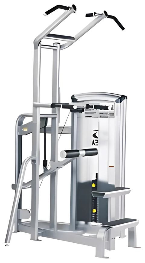 Cybex VR3 Dip/Chin Assist (Remanufactured)