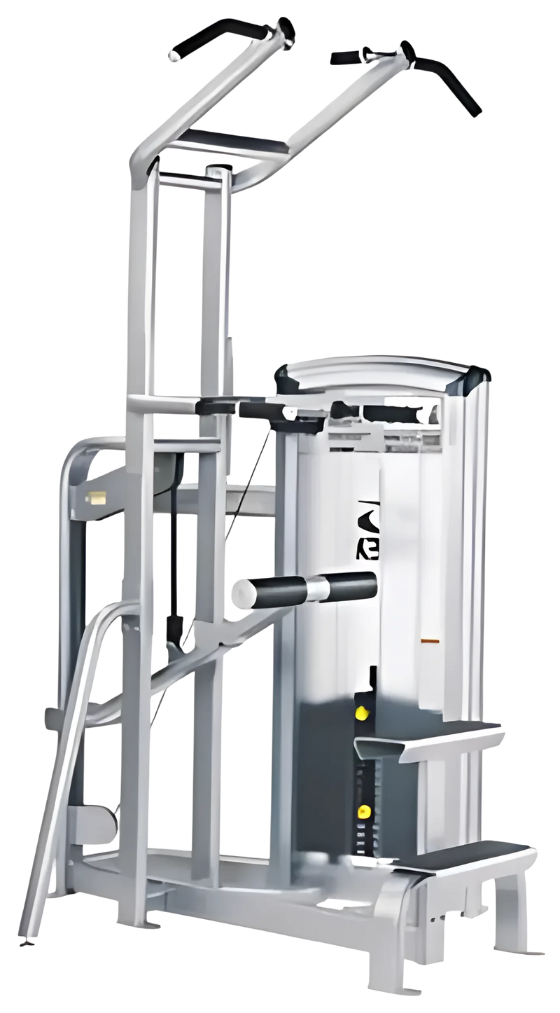 Cybex VR3 Dip/Chin Assist (Remanufactured)