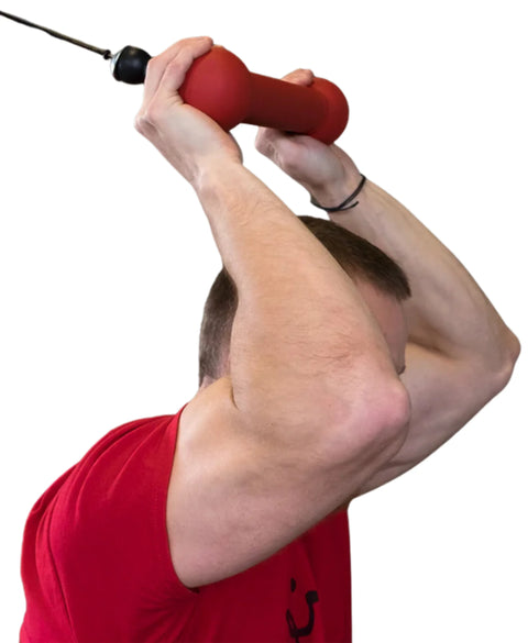 Body-Solid BSTDB Dog Bone Grip (New)