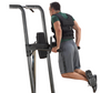 Body-Solid FCD Fusion VKR Vertical Knee Raise, Dip, Pull Up (New)