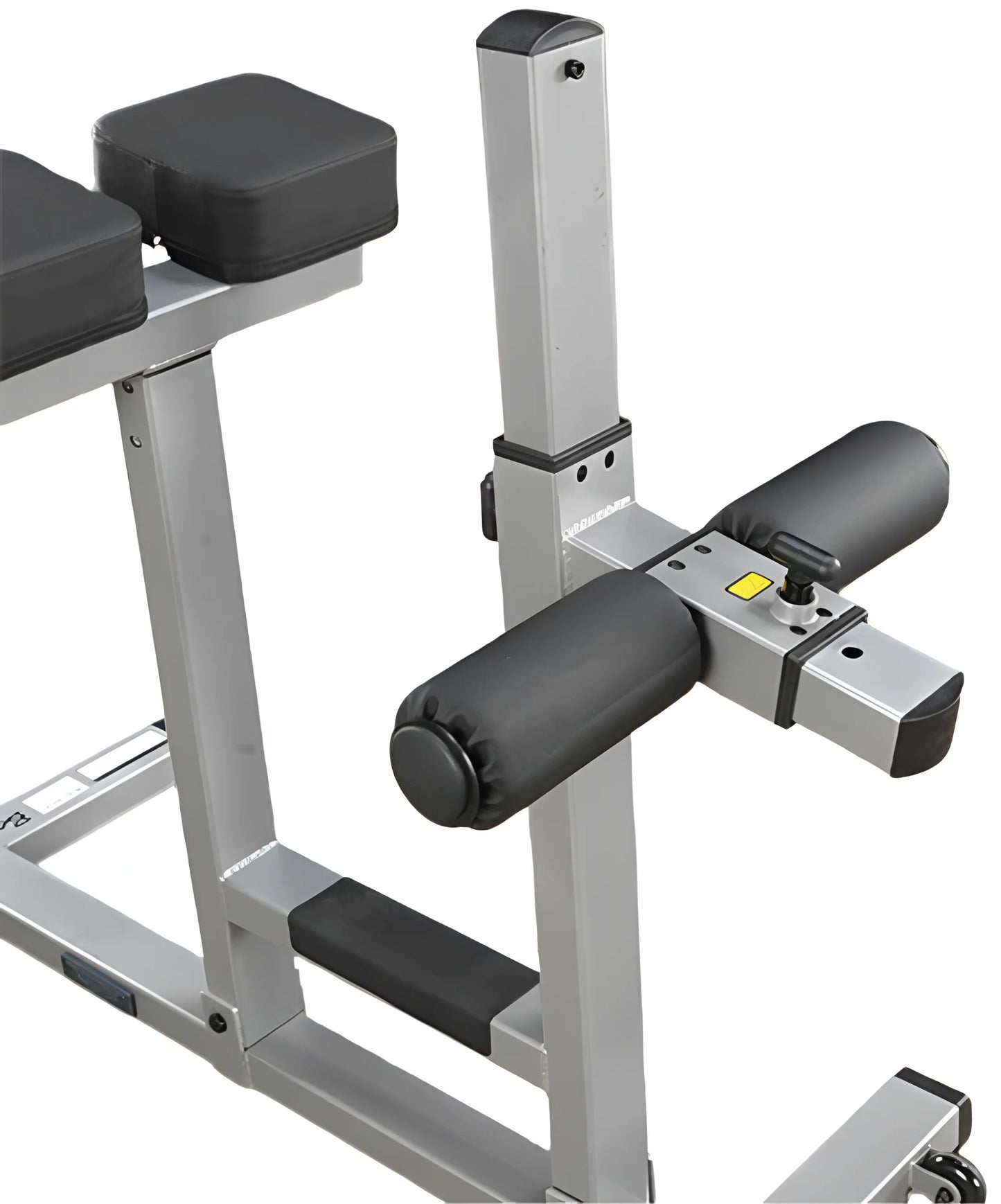 Body-Solid GRCH322 Roman Chair (New)