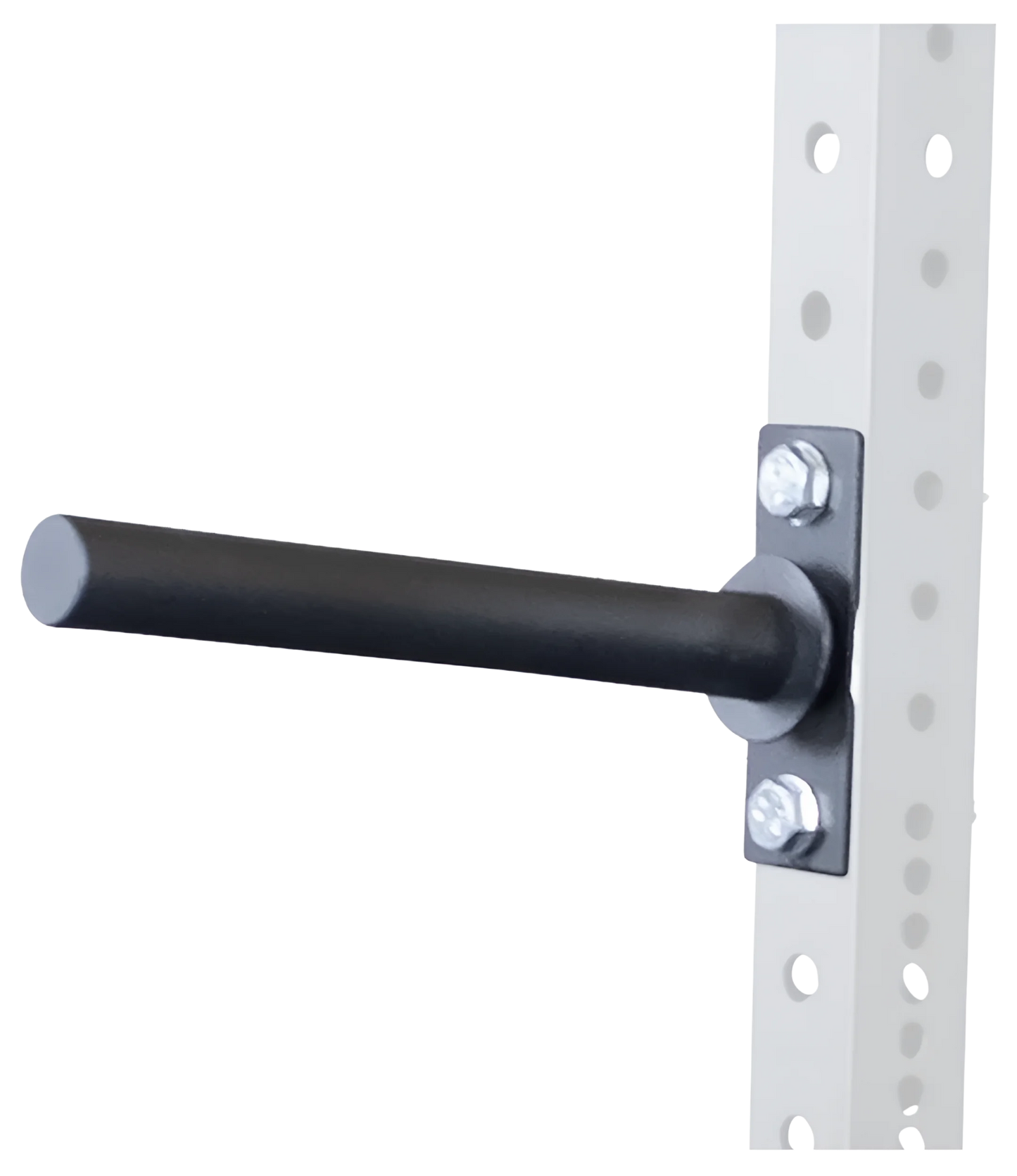 Body-Solid SPRWPH Weight Plate Horns Attachment (New)