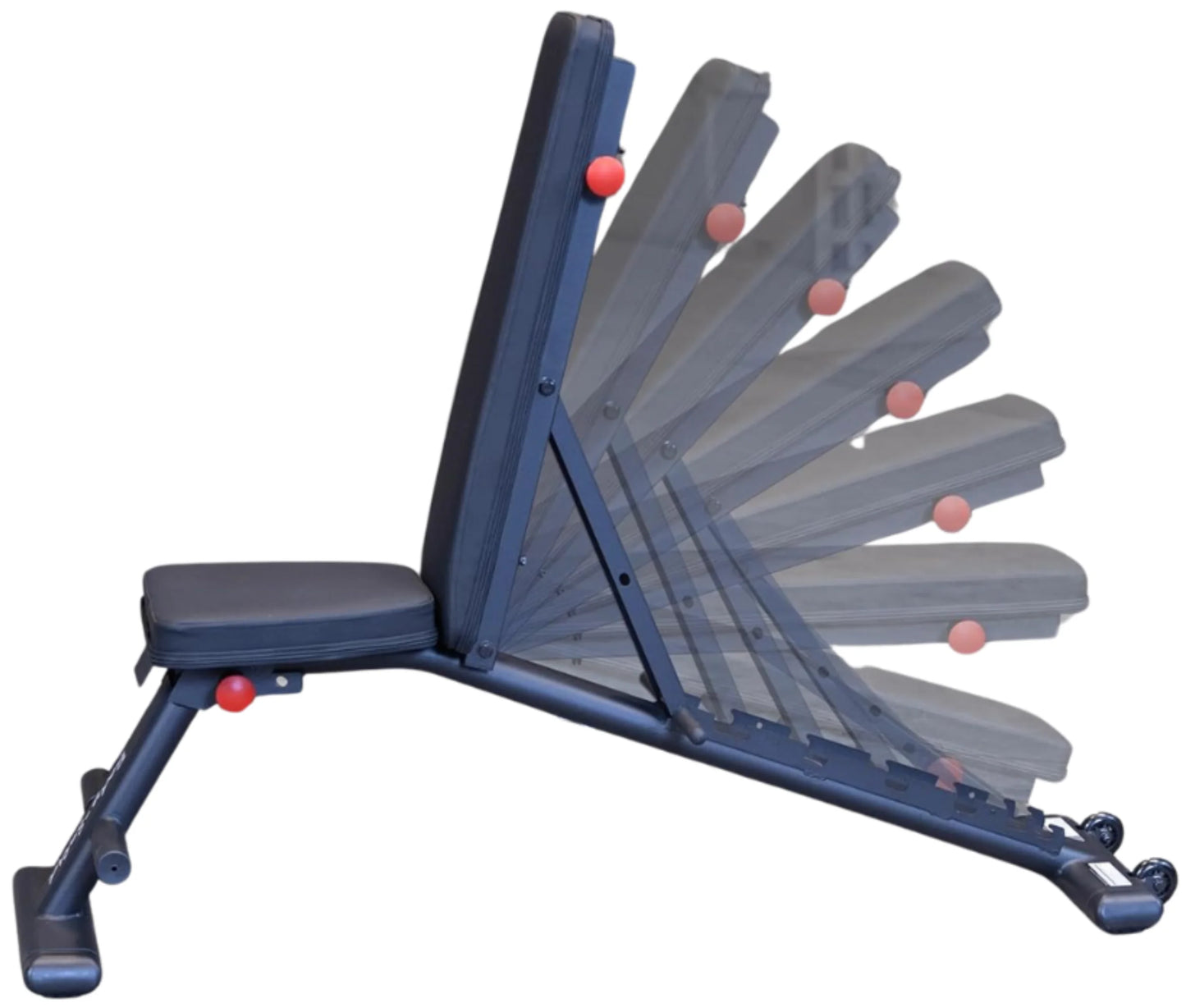 Body-Solid GFID225B Folding Multi Bench (New)