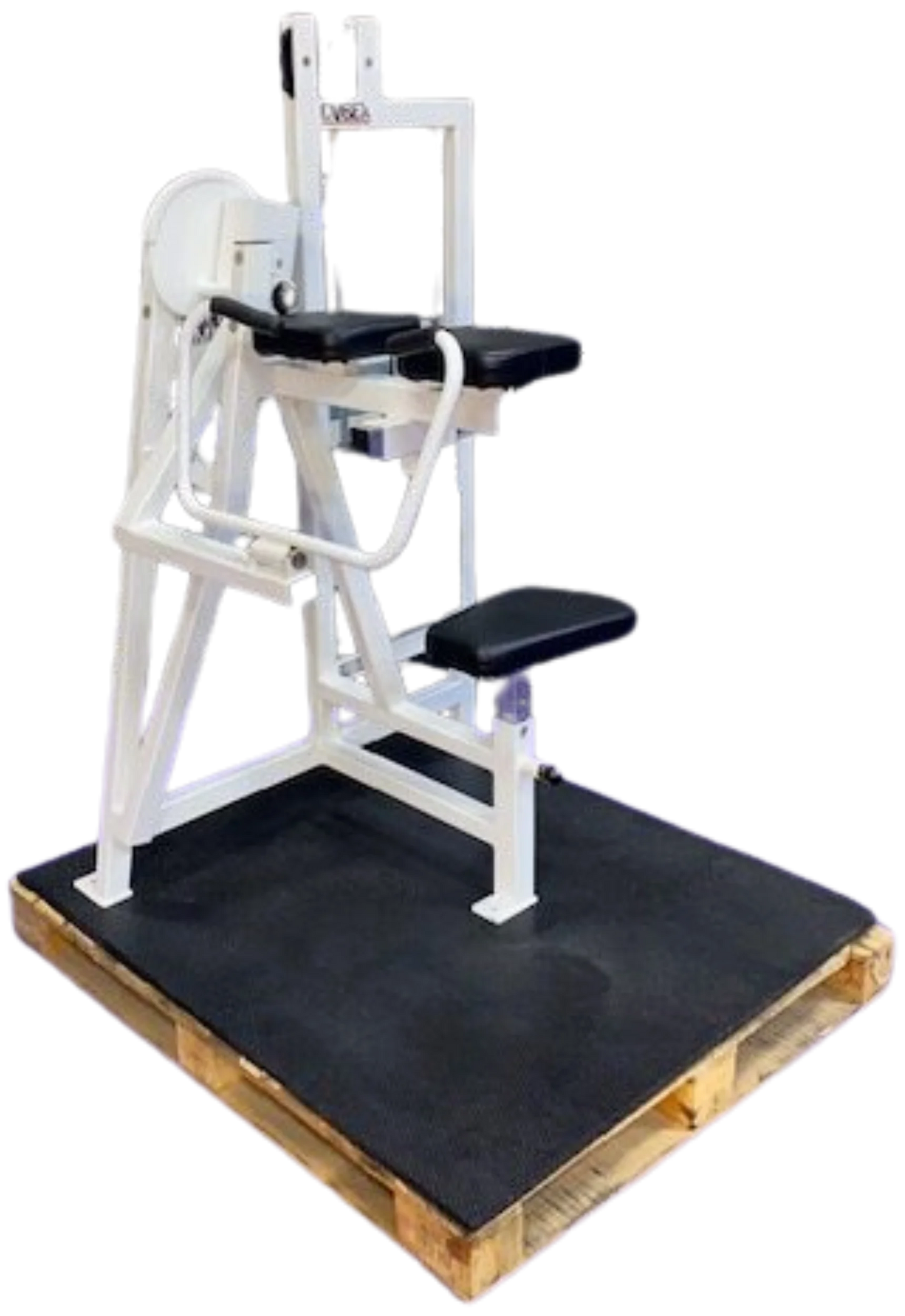Cybex Classic Bicep Curl (Remanufactured)