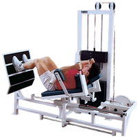 Cybex Classic 4100 Horizontal Leg Press