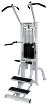 Cybex Free Standing Dip / Chin Assist (Remanufactured)