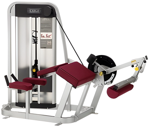 Cybex Eagle Prone Leg Curl 11141 w/RLD (Remanufactured)