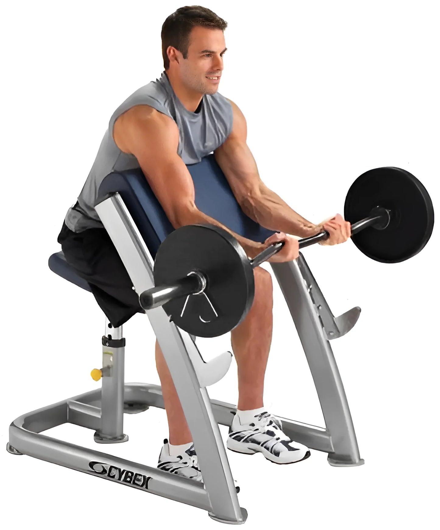 Cybex Free Weight Scott Arm Curl Bench (Remanufactured)