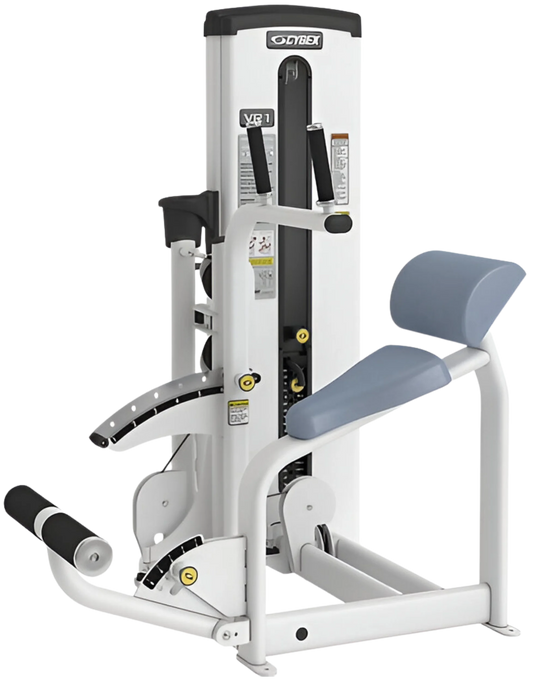 Cybex VR1 Dual Abdominal/Back Extension (Remanufactured)