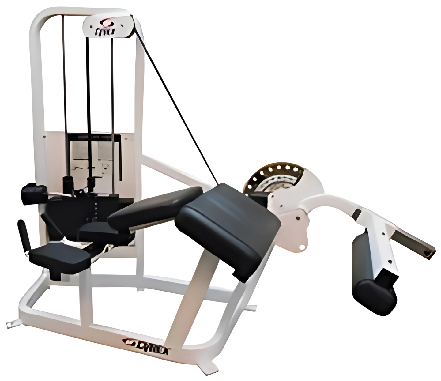 Cybex Prone Leg Curl 筋トレマシン　レッグカール Cybex プレステージ・ストレングスVRSシリーズ プローン・レッグ