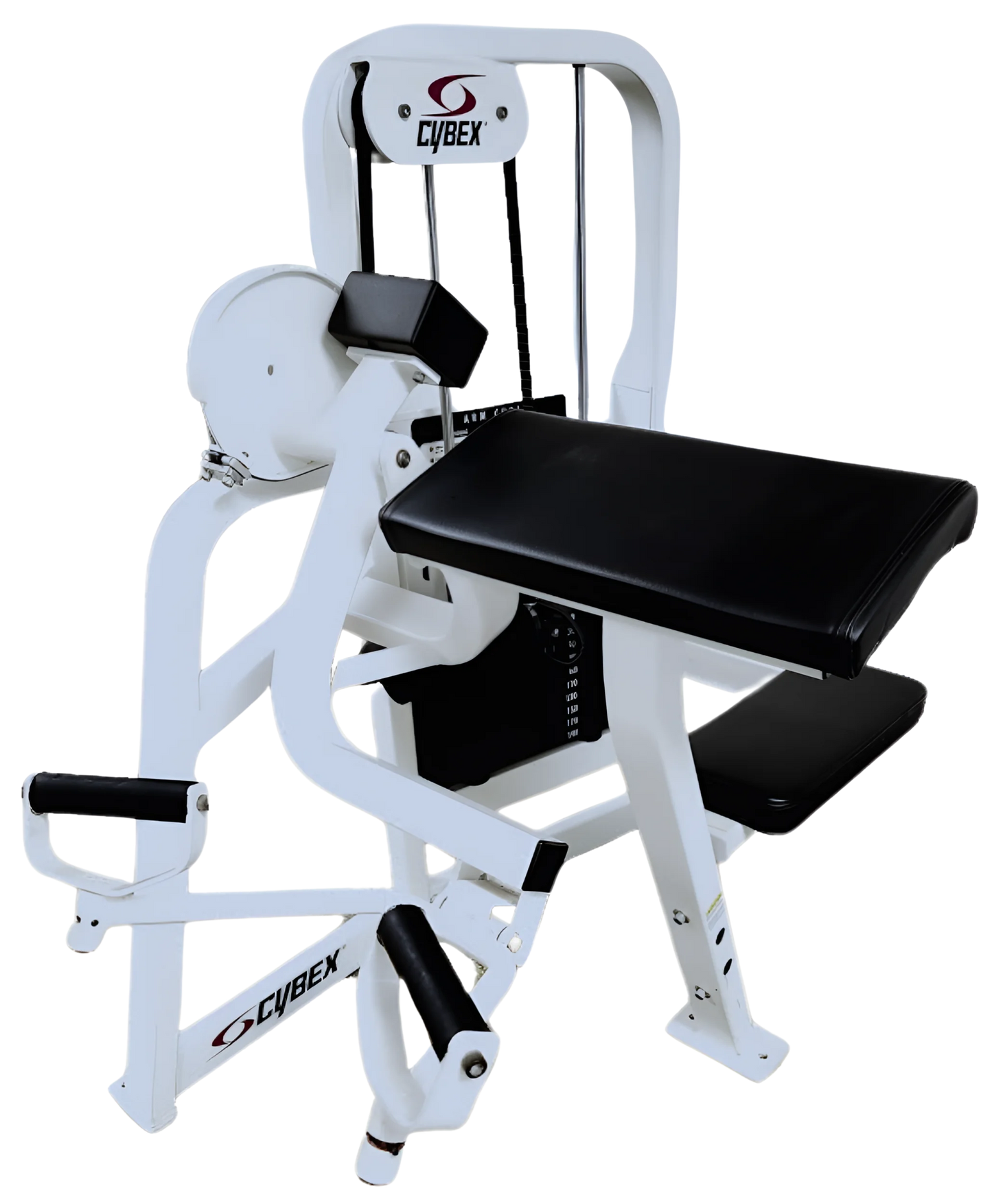 Cybex VR2 Bicep Arm Curl (Remanufactured)