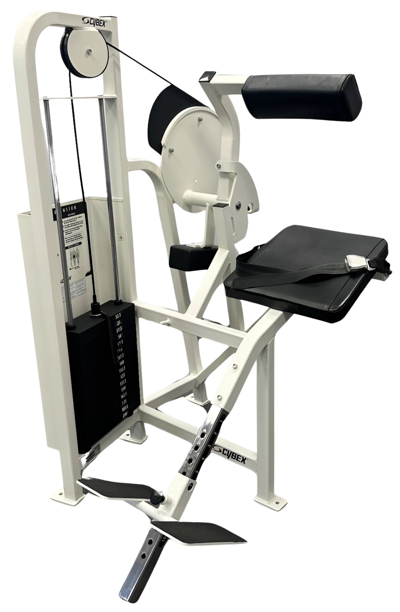 【I-764】CYBEX/サイベックス☆BACK EXTENSION☆トレーニングマシン☆中古品 Cybex VR2 Back Extension | Fitness Superstore